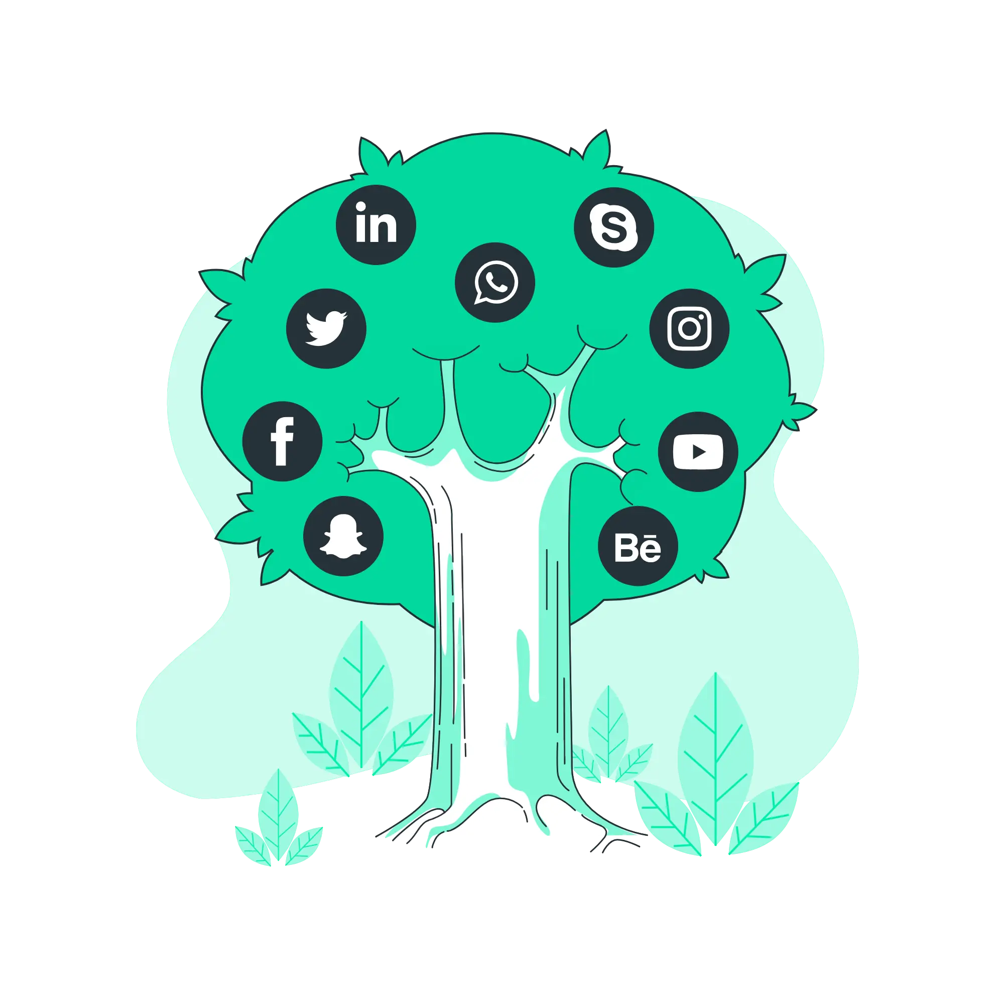 digital marketing expert in malappuram smm services